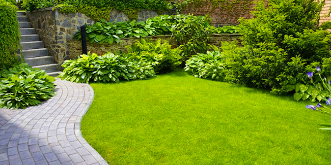 Get Tappeti Erbosi A Bassa Manutenzione Prati Perfetti Con Le Tappezzanti Desktop Wallpaper Get Wallpaper Tappeti Erbosi A Bassa Manutenzione Prati Perfetti Con Le Tappezzanti Desktop Wallpaper