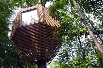 ORIGIN tree house