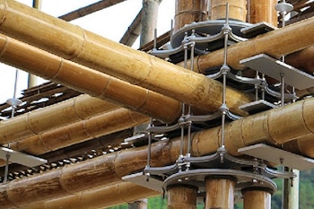 Bamboo Eco Dome